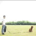 thumbnail image 3 of Dog/Puppy Obedience Recall Training Agility Training Leash, Extended Rope for Training. Play, 3 of 5