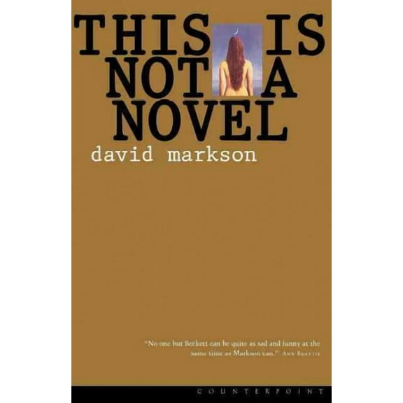 This Is Not a Novel (Paperback)