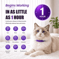 thumbnail image 2 of Cat Calming Collar 4 Pack, Adjustable Pheromone Calming Collars for Cats, Waterproof Anxiety Relief Collar for Stress, Breakaway Design, Fits Cats, Small Dogs and Puppies, ( Purple,Small), 2 of 10
