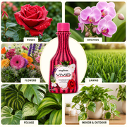 Biogrowth Vivid Organic Plant Food & Fertilizer - Indoor & Outdoor Flowers, Lawns and Ornamentals, 8.45oz (1-0-1) Ultra Concentrated Liquid Bloom Booster with Enzyme Blend