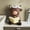 office decor, variant on Highland Cow Decorative Ornament Desktop Figurine, Animal Statue For Bathroom Living Room Office Desk, Unique Home Decor Accent, Desktop Ornament A1Pc