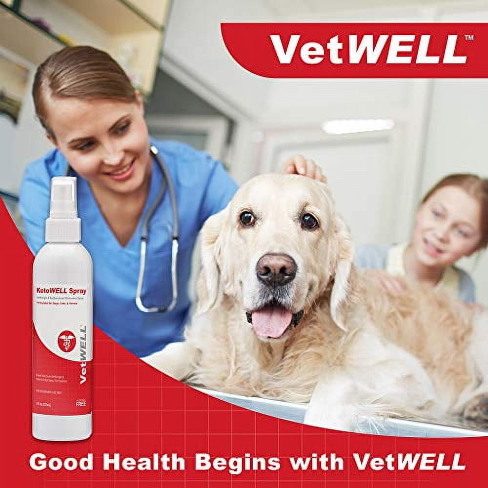 VetWELL Chlorhexidine Medicated Spray 8oz for Dogs & Cats Hot Spot Treatment, Skin Infections & Conditions, Acne Aloe & Vitamin E