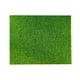 thumbnail image 1 of Césped artificial para jardín de hadas, micropaisaje, realista, para muñecas, manualidades, decoración en miniatura, 1 of 8