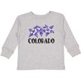 thumbnail image 3 of Inktastic Colorado Columbine Flowers Boys or Girls Long Sleeve Toddler T-Shirt, 3 of 5