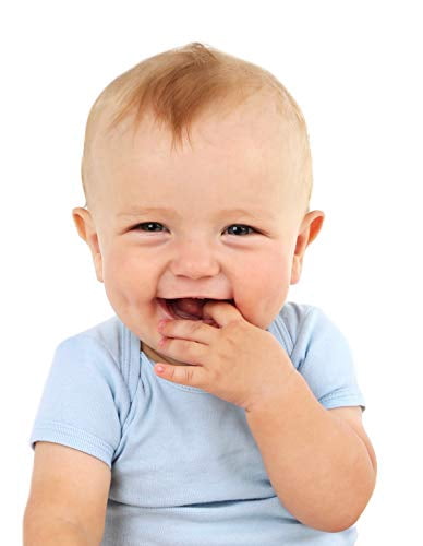 Bambini 8 Baby Bibs