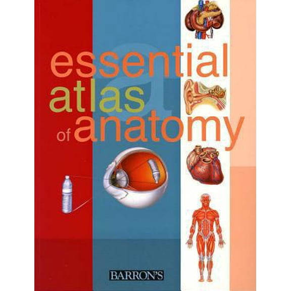 Pre-Owned Essential Atlas of Anatomy (Paperback) 0764118331 9780764118333