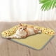thumbnail image 1 of Juegos de cubrecamas y colchas Cojín de suelo refrescante de verano para mascotas Caseta para perros Caseta para gatos Cojín de hielo Suministros para mascotas Colchón pequeño Cojín de hielo para masc, 1 of 6