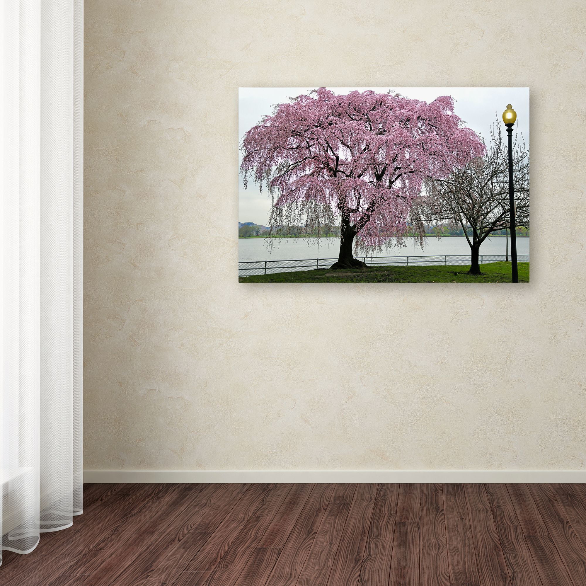 Trademark Fine Art "Cherry Tree" Canvas Art by CATeyes