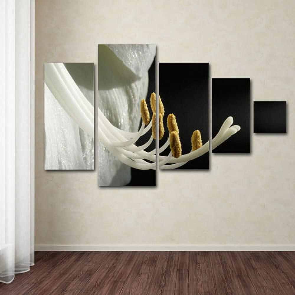 Trademark Fine Art "Intimate Amaryllis" Canvas Art Set by Kurt Shaffer, 5pc Panel Set, 58" x 34"