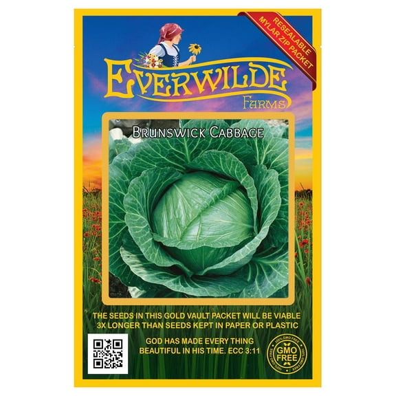 Everwilde Farms - 500 Brunswick Cabbage Seeds - Gold Vault Jumbo Bulk Seed Packet