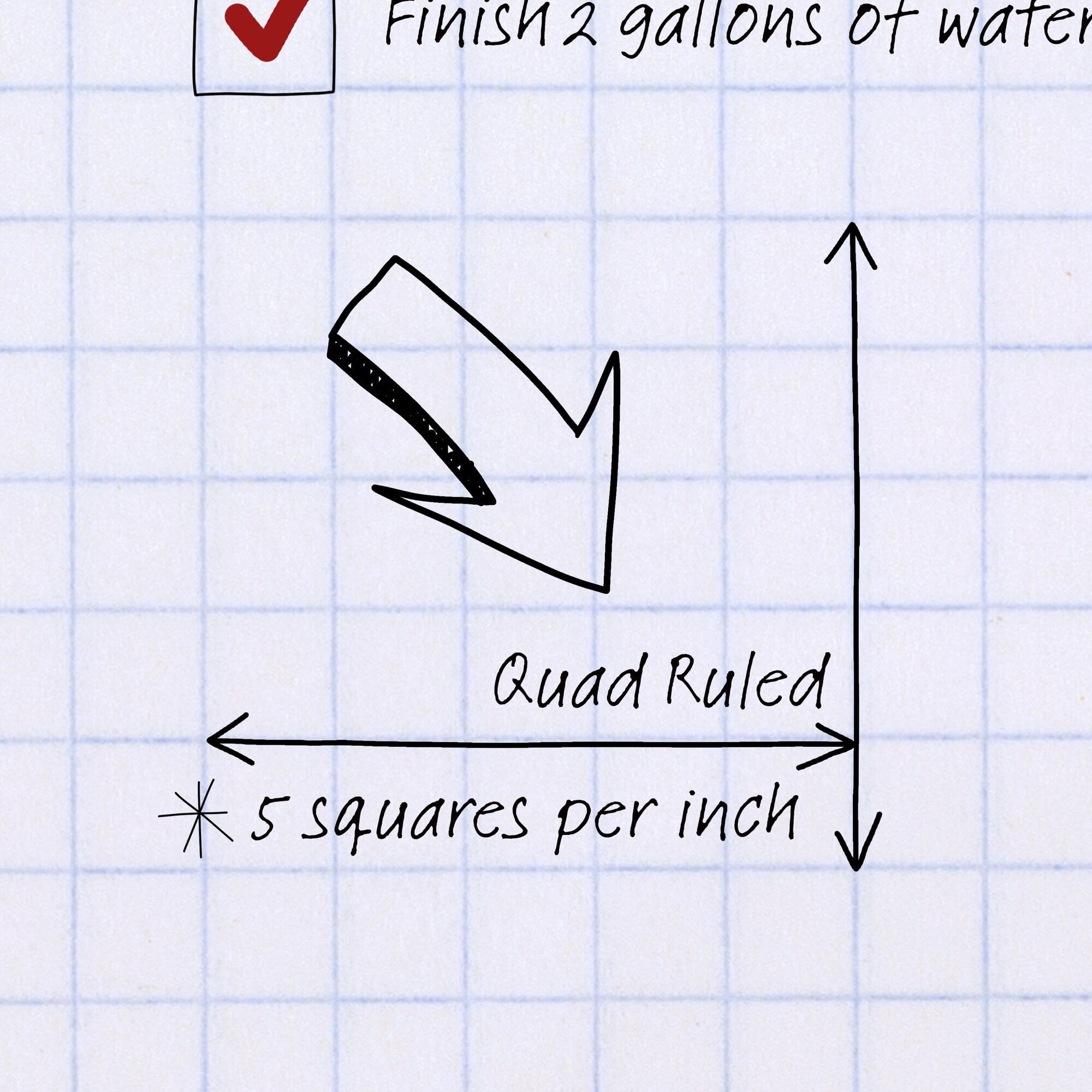 Mead Spiral Notebook, 1 Subject, Graph Ruled, 10.5" x 7.5", 100 Sheets, Black