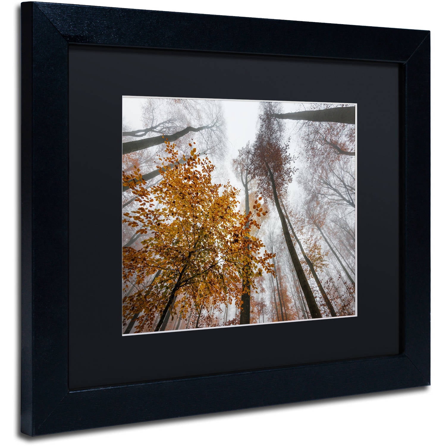 Trademark Fine Art "Daydreamer" Canvas Art by Philippe Sainte-Laudy Black Matte, Black Frame