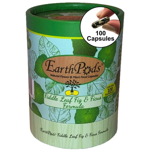 EarthPods Organic Fiddle Leaf Fig Plant Food Spikes Pothos & Monstera Fertilizer Sticks (100