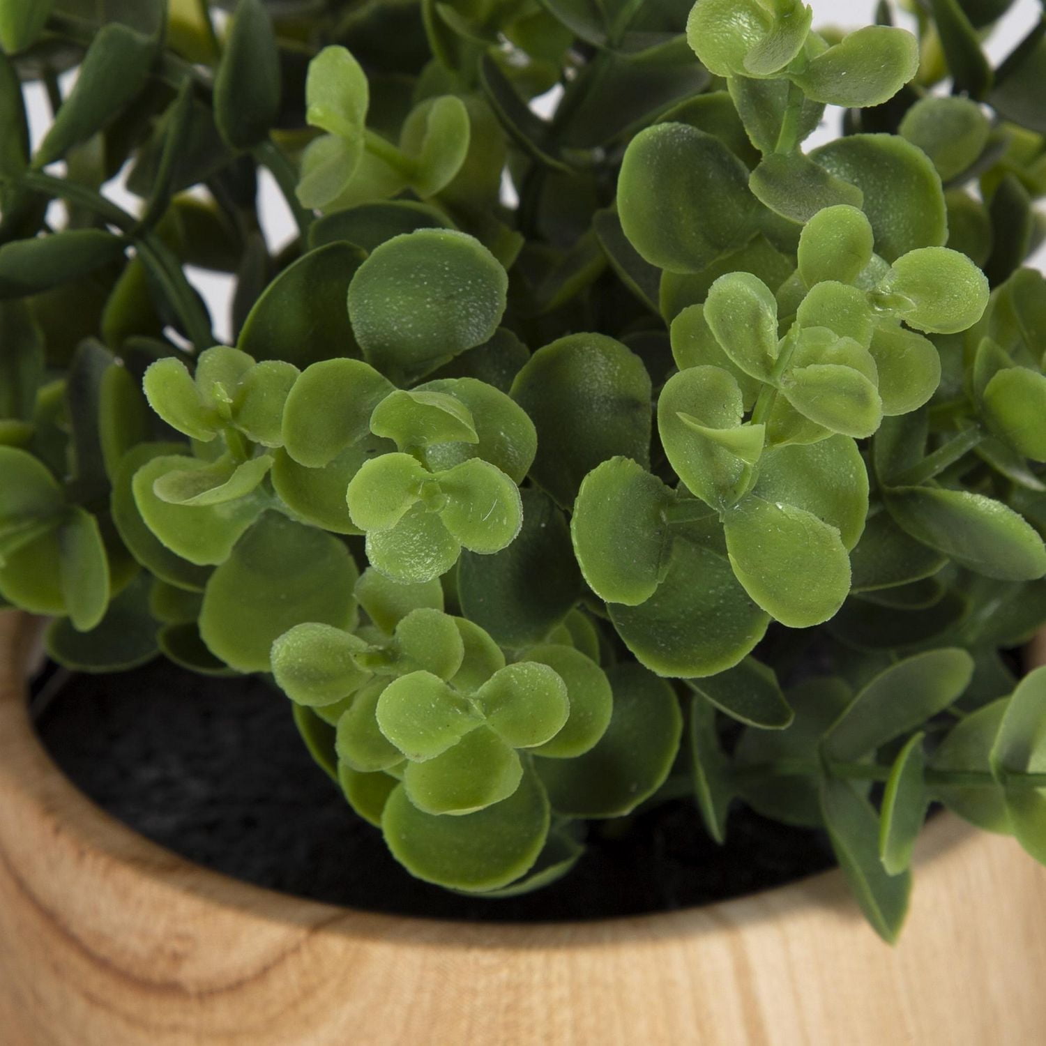 Fausse plante eucalyptus Jessie dans un pot brun
