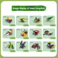 thumbnail image 5 of Bloques de construcción de la serie Mini Insectos Mariquita Libélula Mariposa Caracol Avispa Mantis Escarabajo Ladrillos Juguetes Regalos de Navidad para Niños, 5 of 5