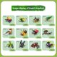 thumbnail image 5 of Bloques de construcción de la serie Mini Insectos Mariquita Libélula Mariposa Caracol Avispa Mantis Escarabajo Ladrillos Juguetes Regalos de Navidad para Niños, 5 of 5