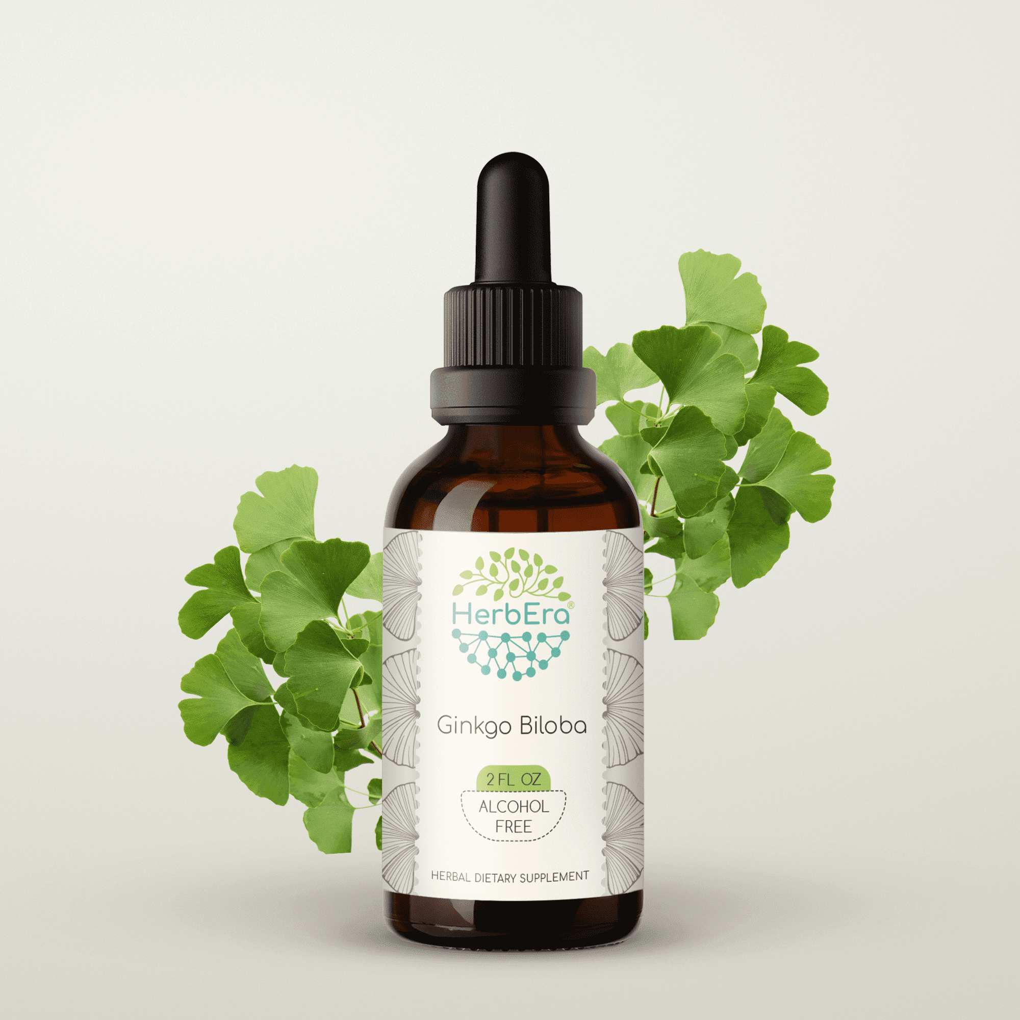 HerbEra Ginkgo Biloba Tincture, Herbal Dietary Supplement for Memory Support, Ginkgo Biloba (Ginkgo biloba) Dried Leaf Extract, Natural, Alcohol-Free, Drops 2 oz