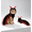 Red-AA1, variant on Cat Centipede Costume Funny Halloween Outfit,Plush Caterpillar Pet Costume with 4 Point Adjustable Fit,50 Inch Long Design for Small Medium Large Cats