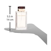 Dolce and Gabbana Pour Femme Eau de Parfum Spray for Women, 3.3 Ounce