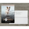 For the Love of Pets - Deluxe 5x7 Personalized Holiday Pet Holiday Card