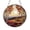 Acrylic 3.5 Inch, variant on Sunset Scene Window Hanging, Faux Glass Inspired Nature Decor for Home
