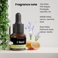 thumbnail image 2 of Aceites difusores de aceites esenciales y aromaterapia Scentluxe 15 ml, 2 of 8