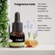thumbnail image 2 of Aceites difusores de aceites esenciales y aromaterapia Scentluxe 15 ml, 2 of 8
