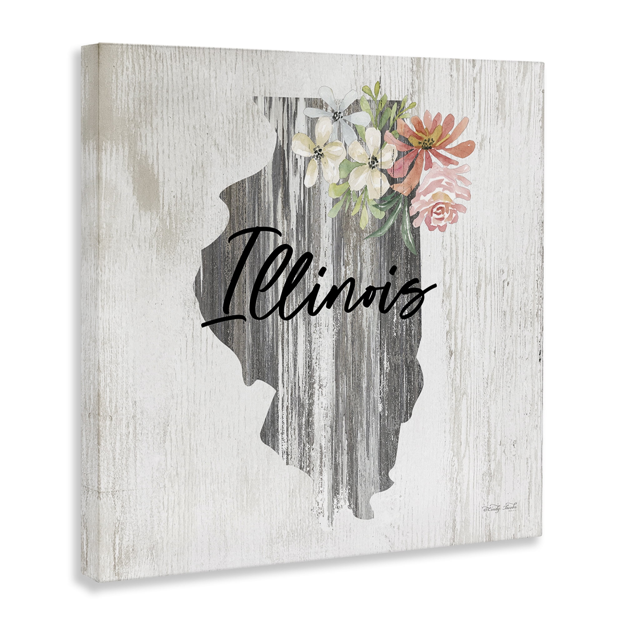 Stupell Industries Shabby Chic Illinois Botanical & Floral Painting Gallery Wrapped Canvas Art Print Wall Art, 30 x 30