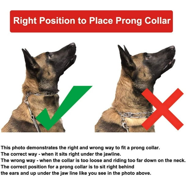 Prong Collar Pinch Collar for Dogs Small Medium Large with Quick Release Buckle Adjustable Stainless Steel Links and Comfort Caps Walmart