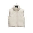 thumbnail image 3 of Chaleco de piel sintética para mujer, chaqueta elegante con cremallera, cuello alto, color negro, a la moda, otoño e invierno, 2023, 3 of 5