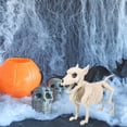 thumbnail image 5 of amlbb Halloween Decoration Halloween Skeleton Horror Decorations Simulation Animals Skeleton Ornaments Bar Haunted House Decoration Dog Skeleton on Clearance, 5 of 6