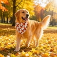 thumbnail image 5 of AuroraX Thanksgiving Pet Bandana for Cats Dogs Adjustable Pet Neck Scarf Holiday Pumpkin Soft Turkey Festive Fall Pet Accessories for Home Beige National Dog Day International Cat Day, 5 of 8