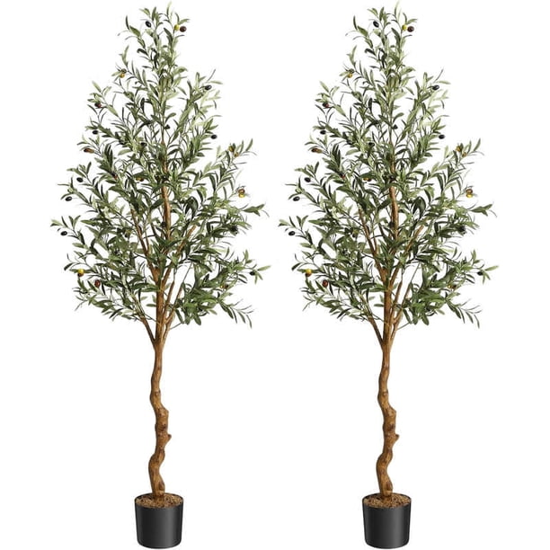 6ft (2pcs) artificial olive trees con natural wood trunk y lifelike fruits, para indoor oficina en casa sala de estar decoration