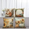 thumbnail image 2 of Dashan Fall Throw Pillow Covers 18x18 4 PCS Pumpkin Squirrel Thanksgiving Couch Cushion Pillowcases for Sofa Living Room, 2 of 6