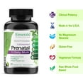 thumbnail image 6 of Emerald Labs Prenatal 1-Daily Multi - Multivitamin with Folic Acid, Vitamin C and Gentle Iron to Support Pregnant and Lactating Women - 30 Vegetable Capsules, 6 of 12