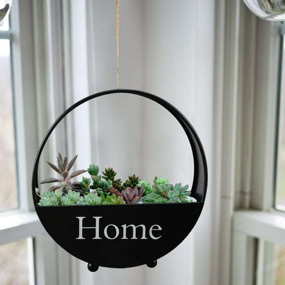 LOLIPPYY 1Pack Black Metal Hanging Planter for Wall and Yard Decoration 7.5X7.5X2.4in