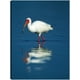 thumbnail image 1 of Cuadro Decorativo - Enfriamiento Ibis, 1 of 3