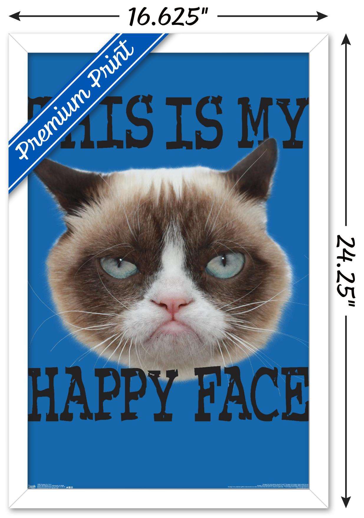 Grumpy Cat - Face Wall Poster, 14.725" x 22.375", Framed