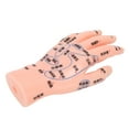 thumbnail image 2 of Hand Acupuncture Teaching Model, Hand Acupuncture Point Model PVC  For School Teaching Supplies For Hospitals Clinics Display Props For Teacher For Doctor, 2 of 8