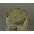 thumbnail image 3 of Napco Imports Indoor Outdoor Plant Succulent Herb Flower Pot 6.75 Inch Wood Birch, 3 of 3