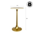 thumbnail image 4 of JONATHAN Y Nysha 25" Modern Bohemian Metal/Resin Inlay Top End Table, Beige/White, 4 of 8