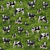 Cow Party Cotton Fabric