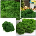 thumbnail image 4 of PAMINGONO Garden Moss Artificial Moss 1Set Green Polyester For Indoor Plant Decoration And Crafting Micro Landscape Prop, 4 of 8