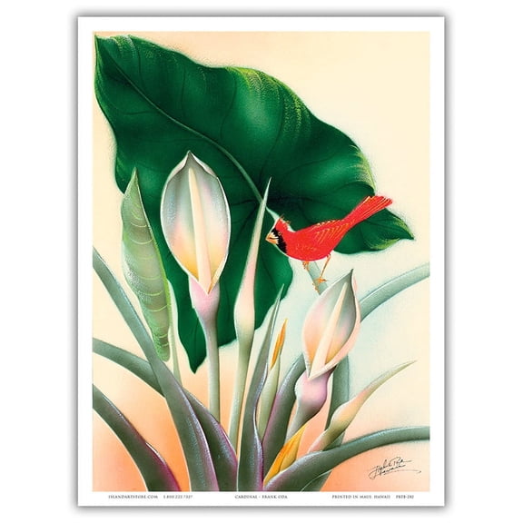 Red Cardinal and White Calla Lily Flowers - Vintage Hawaiian Airbrush Art by Frank Oda (Hale Pua Studio) c.1940s - Master Art Print (Unframed) 9in x 12in