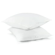 Beautyrest 300TC Cotton Euro Square Pillows Set of 2 in 28" x 28"