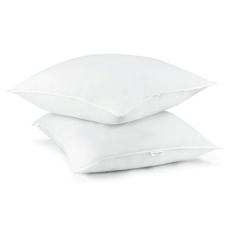 Beautyrest 300tc Cotton Euro Square Pillows Set Of 2 In 28 X 28