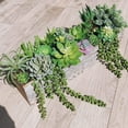 thumbnail image 5 of Artificial Plants 22 Pcs, Bulk Fake Succulents Set with Aloe and Cactus, Unpotted for DIY Garden Arrangement and Centerpiece, 5 of 9