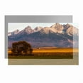 thumbnail image 2 of Projector Screen Simple Curtain Anti-Light 60/84/120 Inch 16:9 for Home Outdoor Office ,Wrinkle-Free, 2 of 6