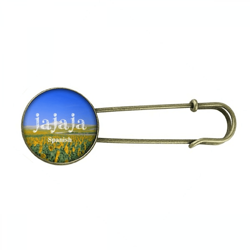 Safety pin 2024 in spanish