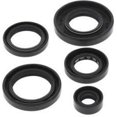 thumbnail image 1 of QuadBoss Oil Seal Set, 1 of 1